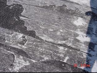photo of damage caused by Hurricane Rita