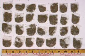 Newspapers with Marijuana Disguised as Publisher-Sent