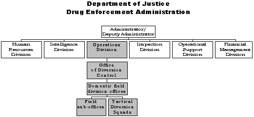 Top Row - Administrator/Deputy Administrator. Second row, first box - Human Resources Division. Second row, second box - Intelligence Division. Second row, third box - Operations Division. Second row, fourth box - Inspections Division. Second row, fifth box - Operational Support Division. Second row, fifth box - Financial Management Division. The following branch off of Operation Divisions Box.  Third row - Office of Diversion Control. Fourth row - Domestic field division offices. Fifth row, first box - Field sub-offices. Fifth row, second box - Tactical Diversion Squads.