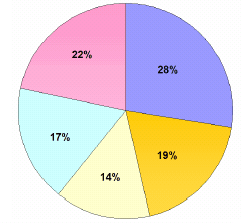 Less than 20,000: 28%, 20,000-50,000: 19%, 50,001-100,000: 14%, 100,001-250,000: 17%, Over 250,000: 22%.