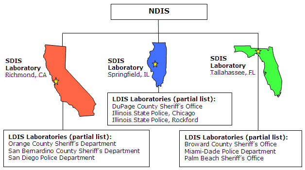 Example of System Hierarchy within CODIS. Click on image for a text-only version.