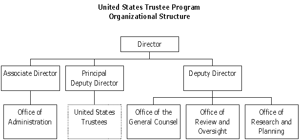 Flowchart of the organization structure of the U.S. Trustee Program.  Click on the chart to access the same information in a text table.