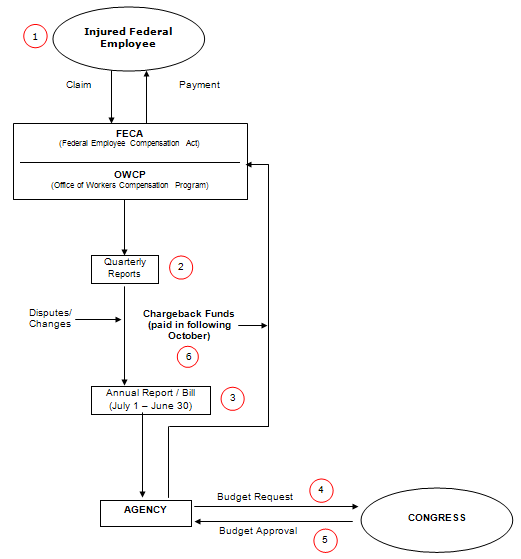 Process of the FECA chargeback process. Steps are outlined below.