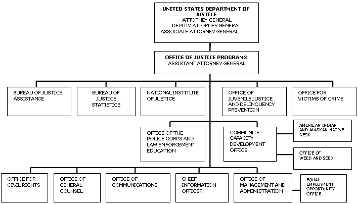 Organizational chart for the Office of Justice programs. For text version, click on chart.