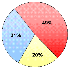 31% Class I warrants, 49% Class II warrants, 20% state/local warrants.