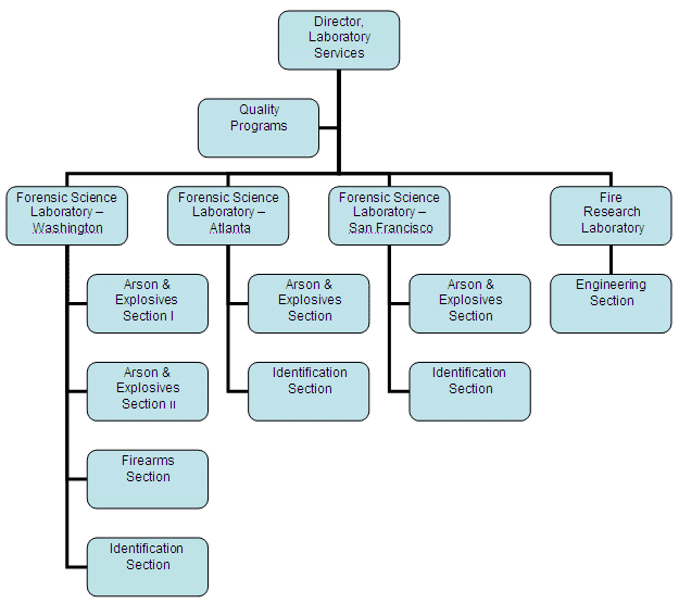 Organization Chart. Click on image for a text only version.