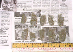 Newspapers with Marijuana Disguised as Publisher-Sent