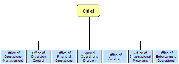 Top of chart-Chief. Under Chief- Office of Operations Management, Office of Diversion Control, Office of Financial Operations, Special Operations Division, Office of Aviation, Office of International Programs, Office of Enforecement Operations.