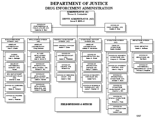 Dea Organizational Chart