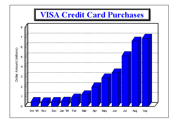 VISA Credit Card Purchases